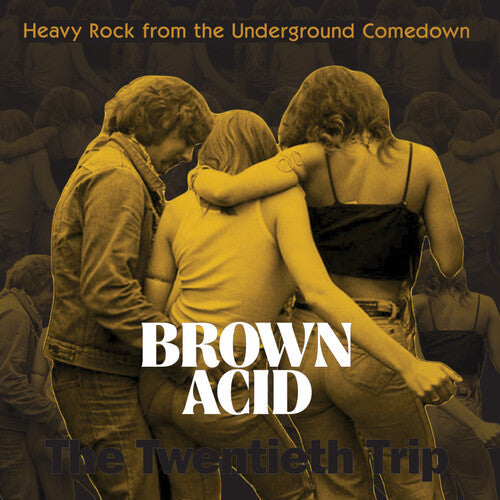 V/A - Brown Acid: The Twentieth Trip LP