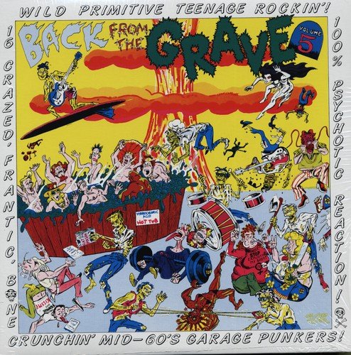 V/A - Back From The Grave: Vol. 5 LP (Compilation)