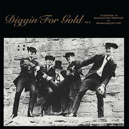 V/A - Diggin' For Gold: Vol. 2 LP (Compilation, Limited Edition, Reissue)