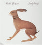 Vashti Bunyan - Lookaftering LP