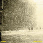 Women - Public Strain LP