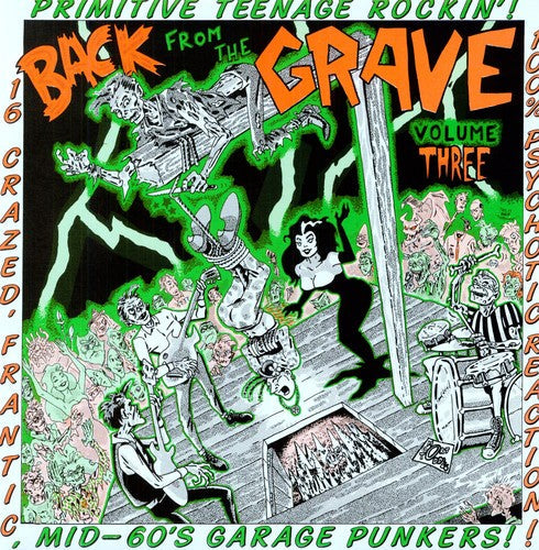 V/A - Back From The Grave: Vol. 3 LP (Gatefold, Compilation)