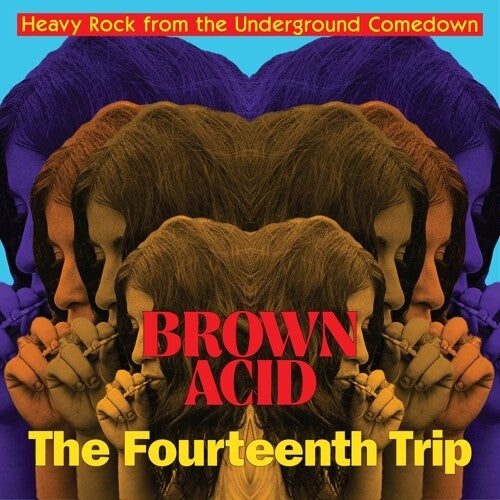 V/A - Brown Acid: The Fourteenth Trip LP