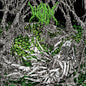 Worm - Gloomlord LP