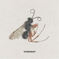 Vundabar - Good Old LP (Colored Vinyl)
