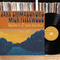 Jake Shimabukuro - Blues Experience LP (180 Gram Vinyl)