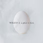 Wilco - A Ghost Is Born 2LP