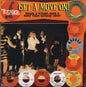V/A - Teenage Shutdown: Get A Move On! LP (German Pressing, Compilation, Reissue)
